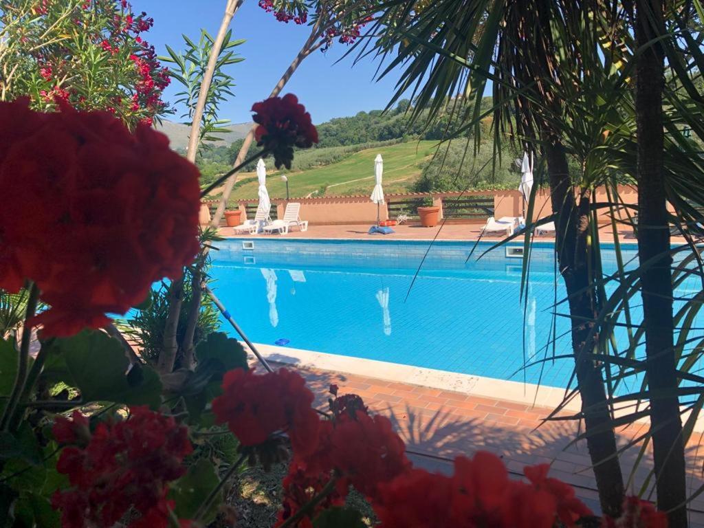 Rea Villa Coltodino ภายนอก รูปภาพ